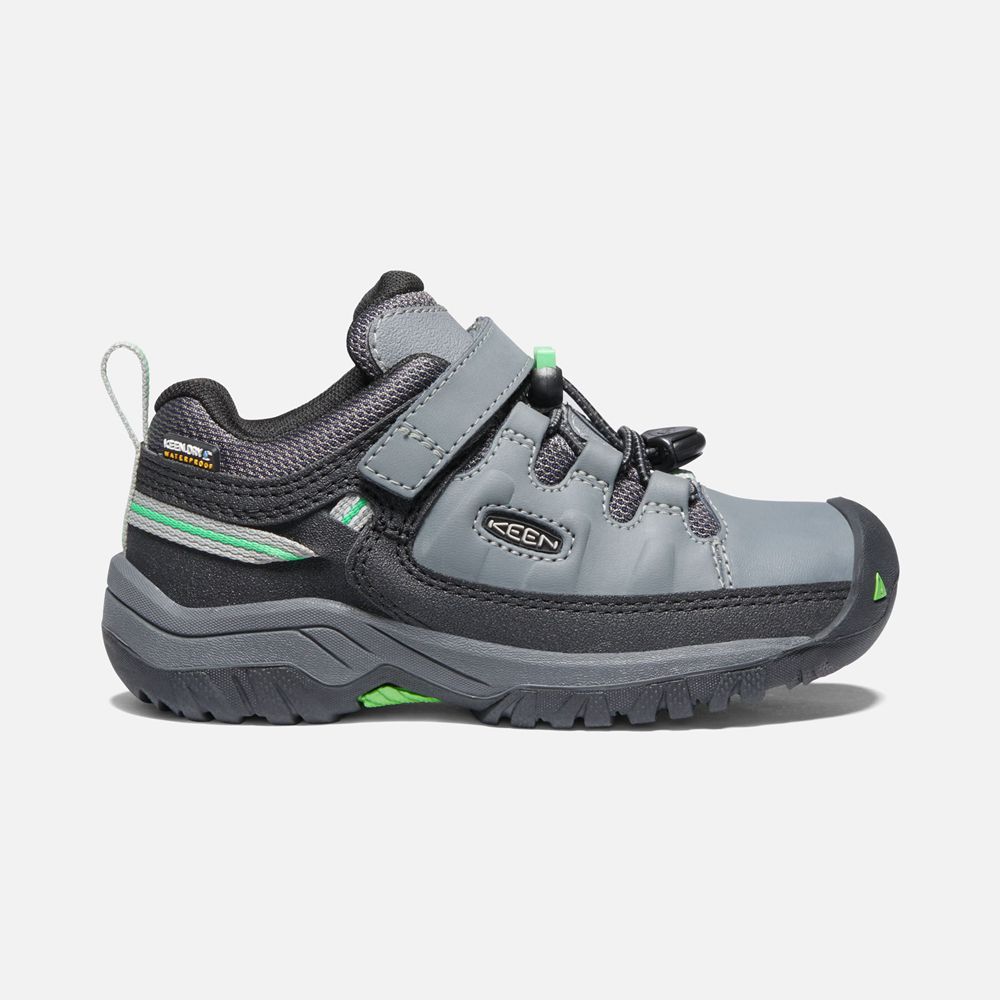 Keen Outdoor Ayakkabı Çocuk Gri/Yeşil - Targhee Waterproof - Türkiye KMSL37486